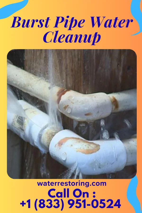 Burst Pipe Water Cleanup in Manassas, VA