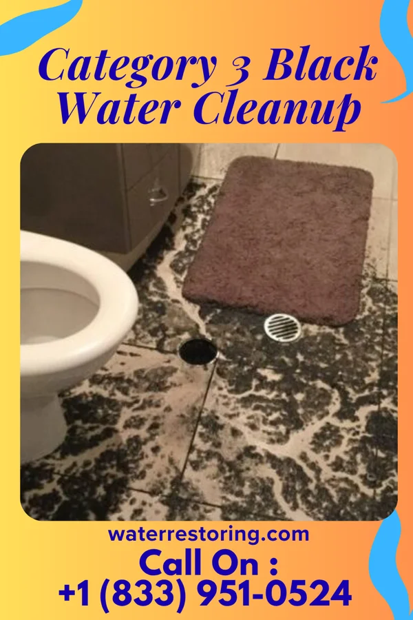 Category 3 Black Water Cleanup in Manassas, VA
