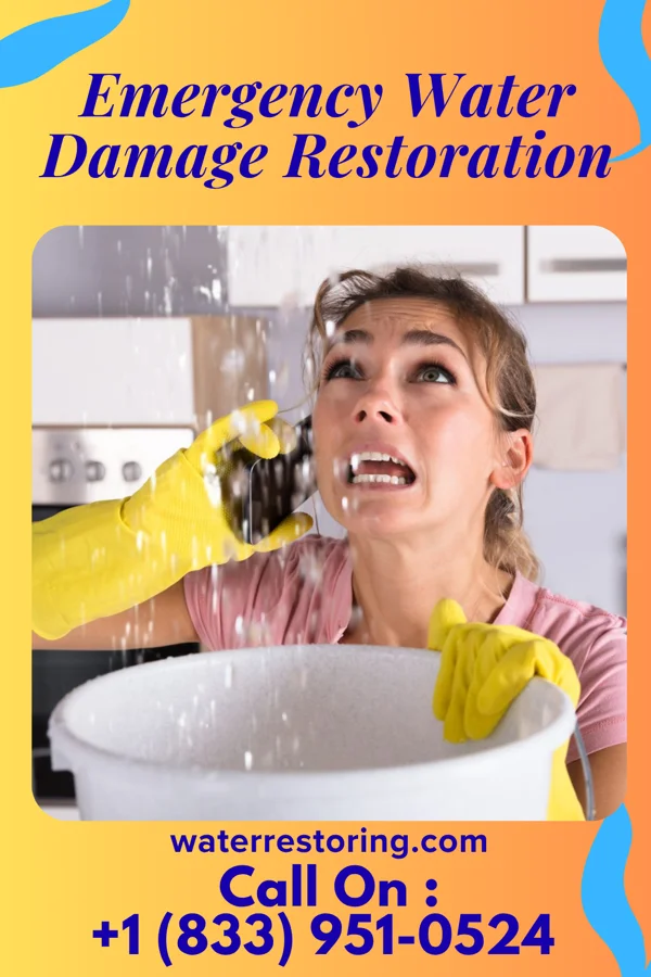 Emergency Water Damage Restoration in Manassas, VA