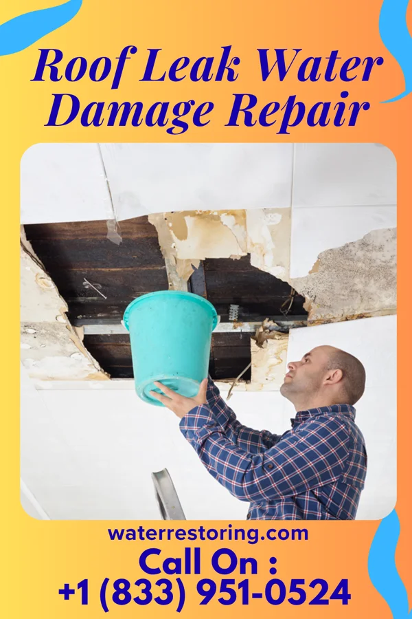 Roof Leak Water Damage Repair in Manassas, VA